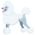 Poodle