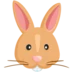 Rabbit Face