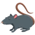 Rat