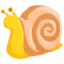 Snail