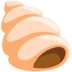 Spiral Shell