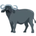 Water Buffalo