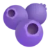 Blueberries