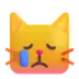 Crying Cat