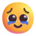 Face Holding Back Tears