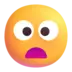 Frowning Face With Open Mouth