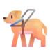 Guide Dog