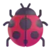 Lady Beetle