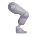 Mechanical Leg