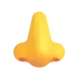 Nose