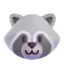 Raccoon