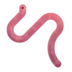 Worm