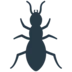Ant