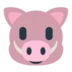 Boar