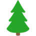 Evergreen Tree