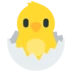 Hatching Chick