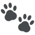 Paw Prints