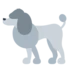Poodle