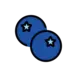 Blueberries