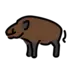 Boar