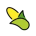 Ear of Corn