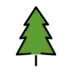 Evergreen Tree