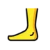 Foot