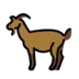 Goat