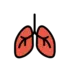 Lungs