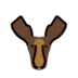 Moose