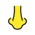 Nose
