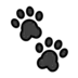 Paw Prints