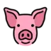 Pig Face
