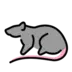 Rat