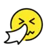 Sneezing Face