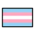 Transgender Flag