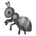 Ant
