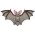 Bat