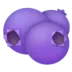 Blueberries
