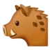 Boar