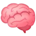 Brain
