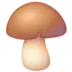 Brown Mushroom