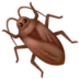 Cockroach