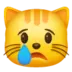 Crying Cat
