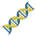 DNA