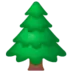 Evergreen Tree