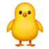 Front-Facing Baby Chick