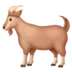 Goat