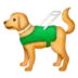 Guide Dog