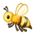 Honeybee